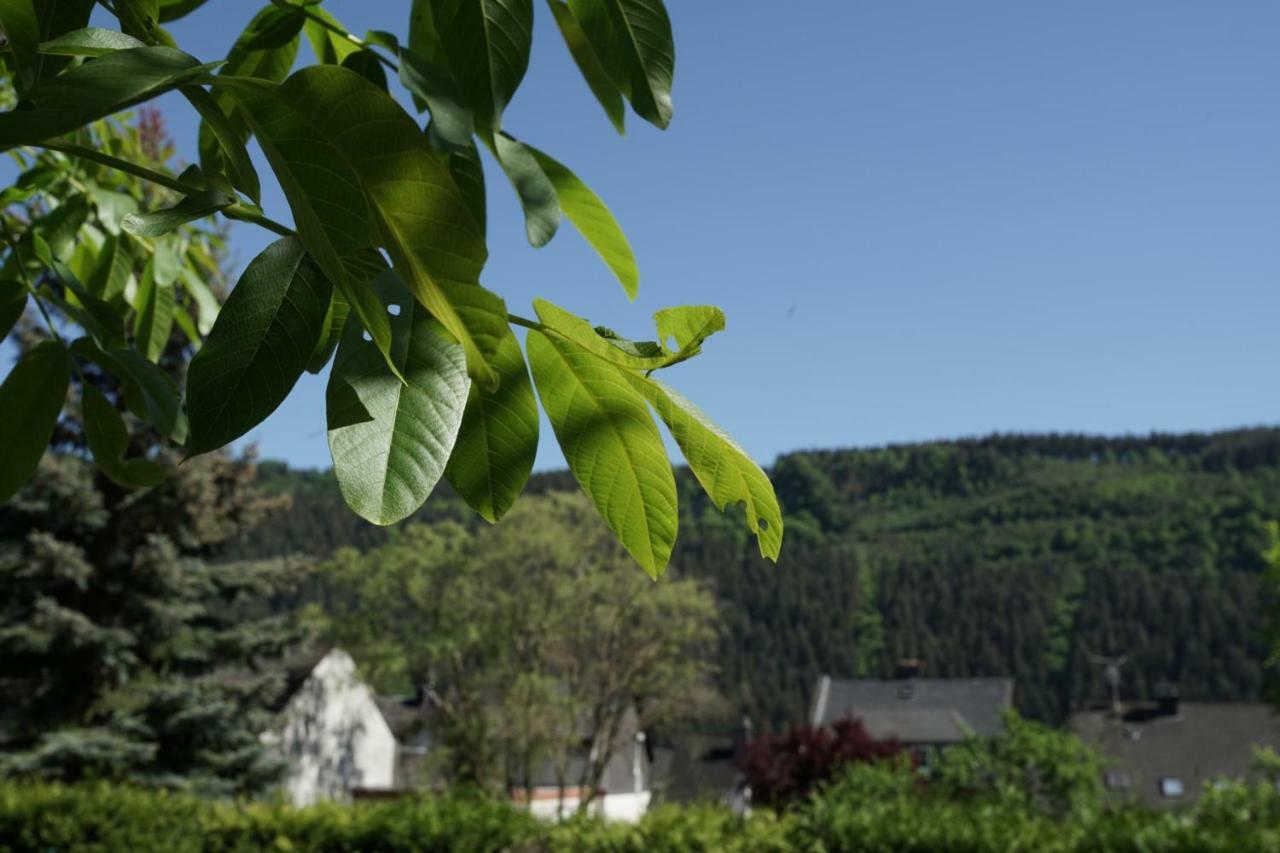 Ferienwohnungen Christina Traben-Trarbach Exterior photo